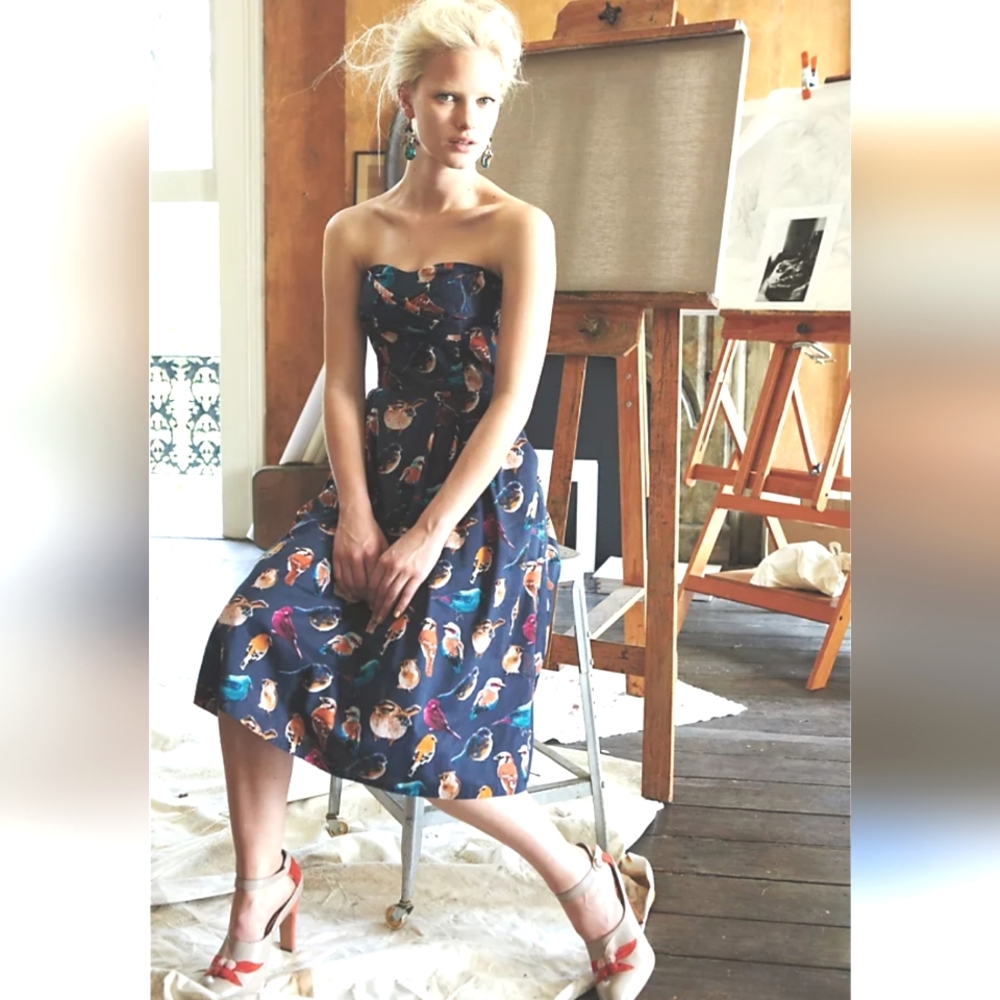 Anthropologie Maeve native bird print cotton fit flare dress 8